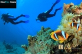 MONO ME 29.90€ κατάδυση γνωριμίας Scuba Diving με αυτόνομη συσκευή κατάδυσης σε ολιγομελή τμήματα & υπέροχη υποβρύχια φωτογράφηση με την Σχολή Κατάδυσης «Dive Blue Dream»!!