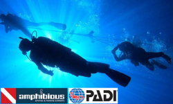 amphibious | Πολλαπλές Περιοχές