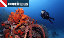 amphibious | Πολλαπλές Περιοχές