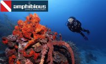 amphibious | Πολλαπλές Περιοχές