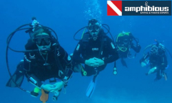 amphibious | Πολλαπλές Περιοχές